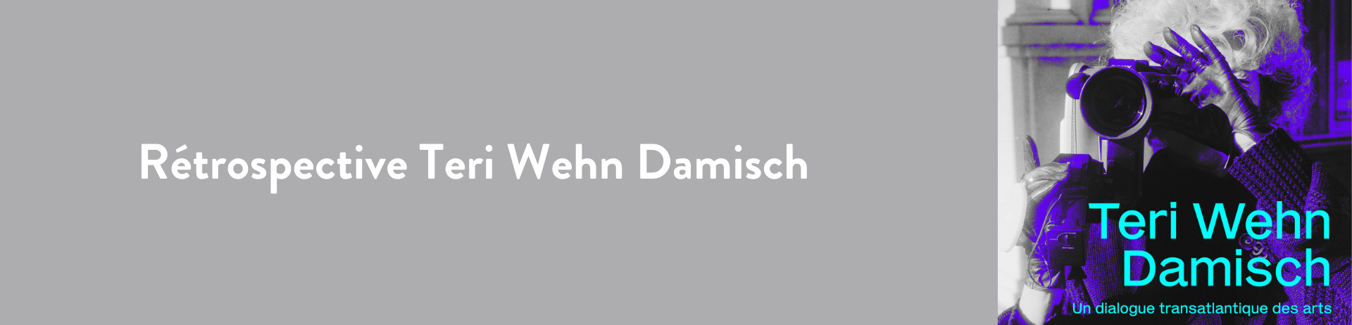 Bannière Rétrospective Teri Wehn Damisch 